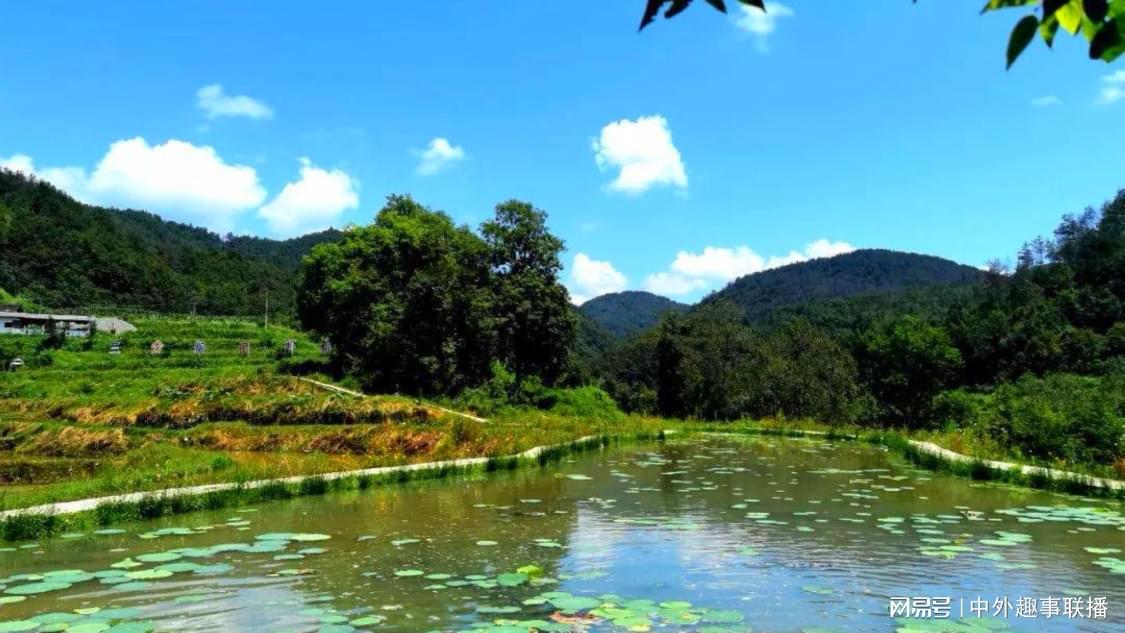 抖音赞自助下单微信：提升微信粉丝互动量的高效策略_朋友圈点赞下单业务