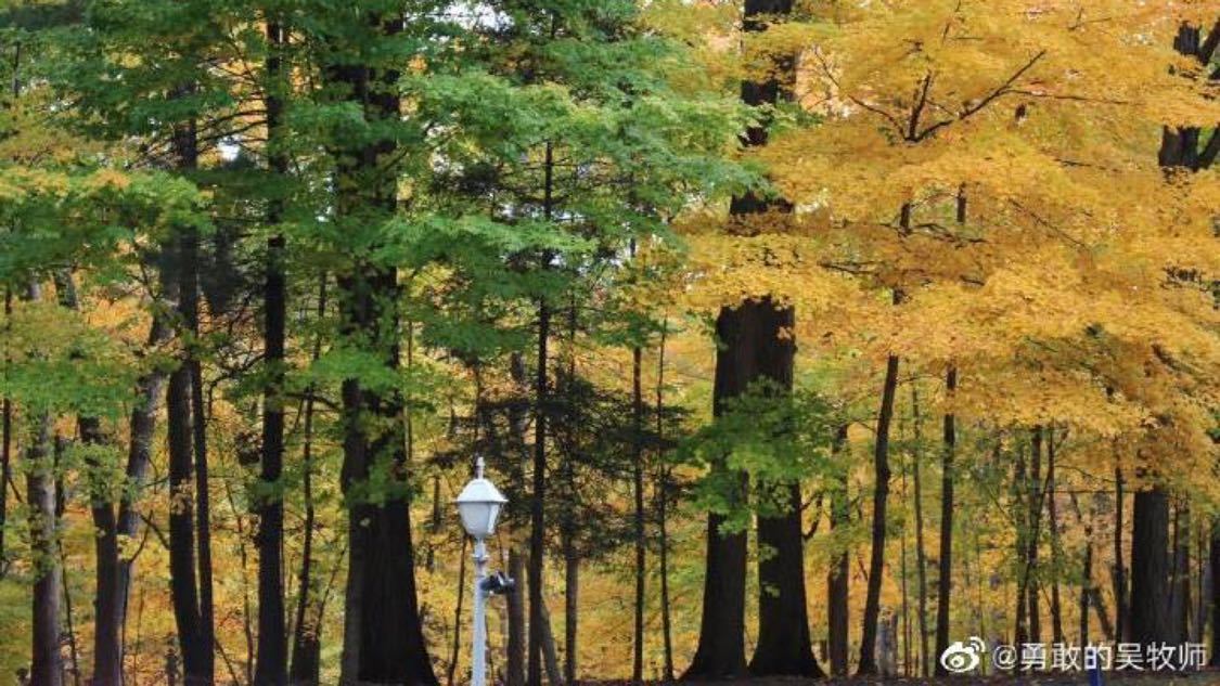 抖音少量双击自助下单：点击自助下单快速提升互动效果_云商城