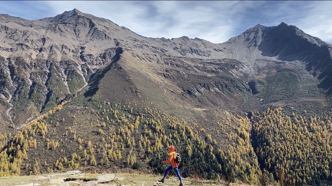 便宜抖音粉丝自助下单：助力社交媒体账号提升活跃度解锁影响力新境界_人工点赞团队24小时在线